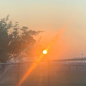 Meet your Posher, Evelyn